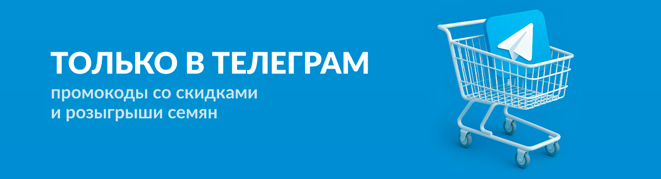 телеграм семена конопли