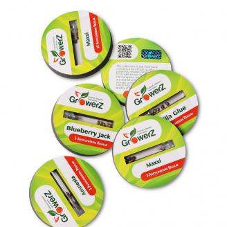 Семена конопли сорта Maxxi Auto Reg.